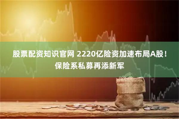 股票配资知识官网 2220亿险资加速布局A股！保险系私募再添新军