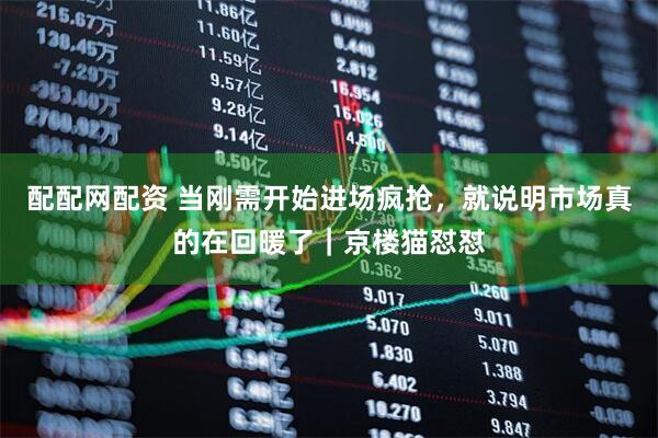 配配网配资 当刚需开始进场疯抢，就说明市场真的在回暖了｜京楼猫怼怼