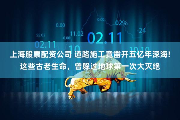 上海股票配资公司 道路施工竟凿开五亿年深海!这些古老生命,曾躲过地球第一次大灭绝